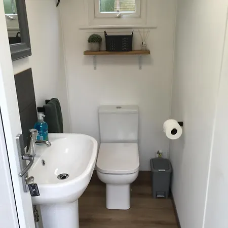 Willow Pod * 大艾顿