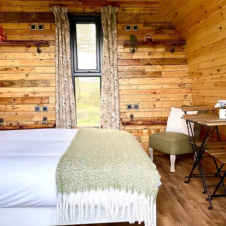 Willow Pod 大艾顿